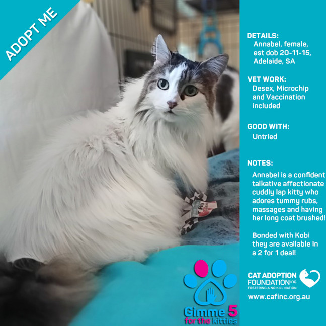 Photo of Annabel & Kobi Bonded 2 For 1 Deal!