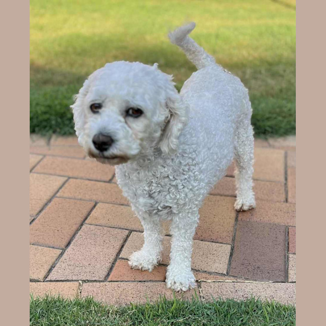 Photo of Mia