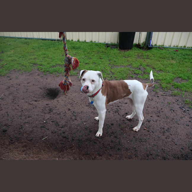 Photo of Flynn