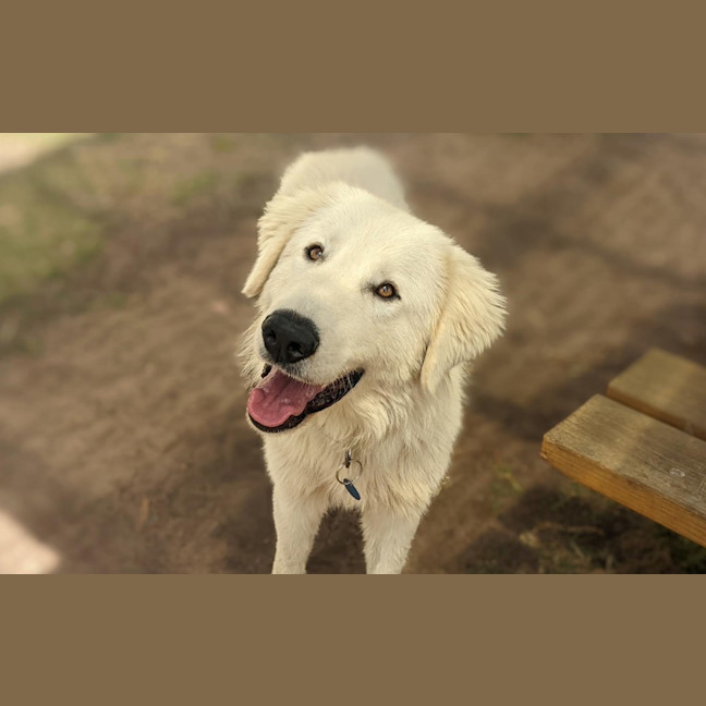 Photo of Belle