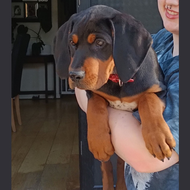 Photo of Henry