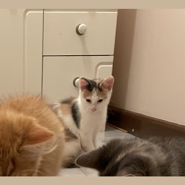 Photo of Margie 🌸🌸🌸