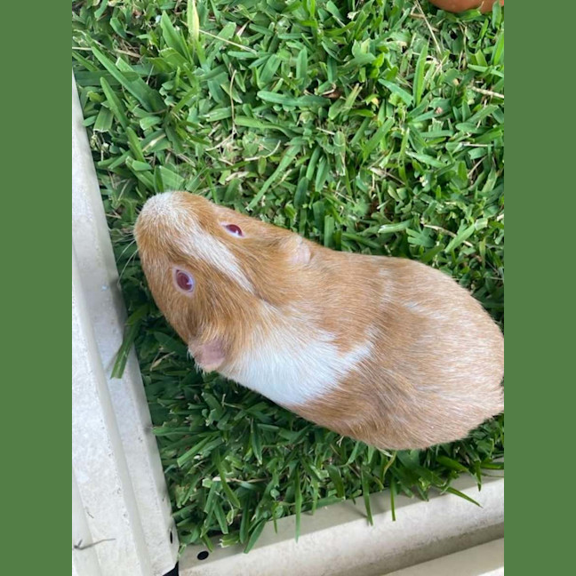 Photo of Pumpkin & Bean