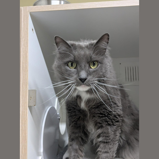 Photo of 💞 Pablo 6791 💞