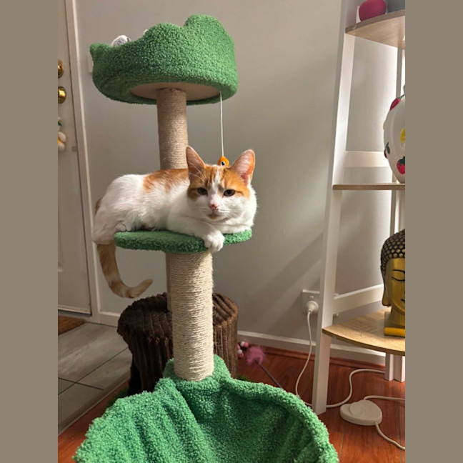 Photo of Miss Cashew Nutz
