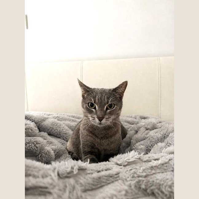 Photo of Olivia