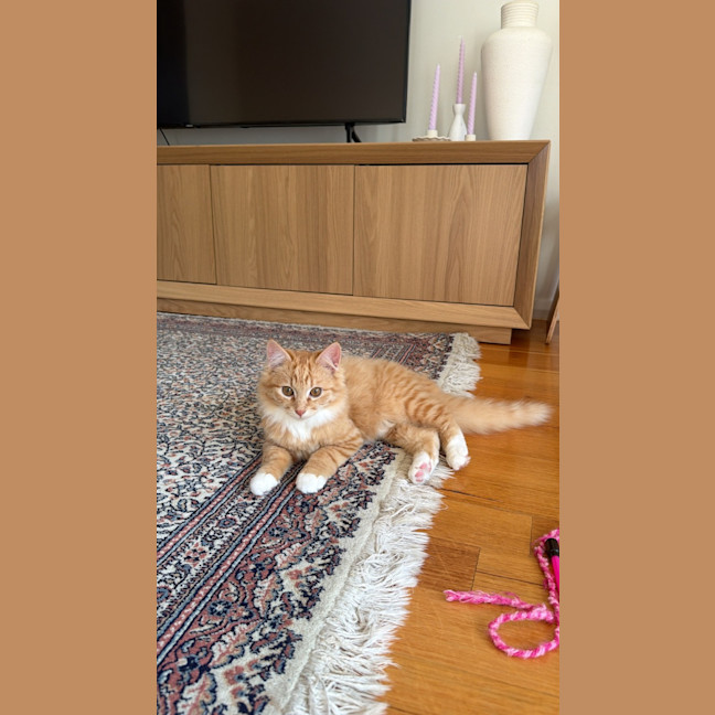 Photo of Mavi