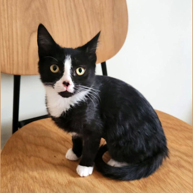 Photo of 🌹 Marnie 🌹