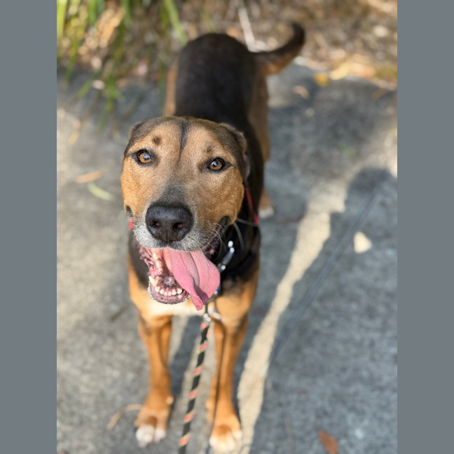 Photo of Ruby