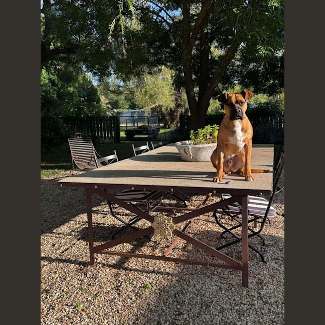 Photo of Raffy