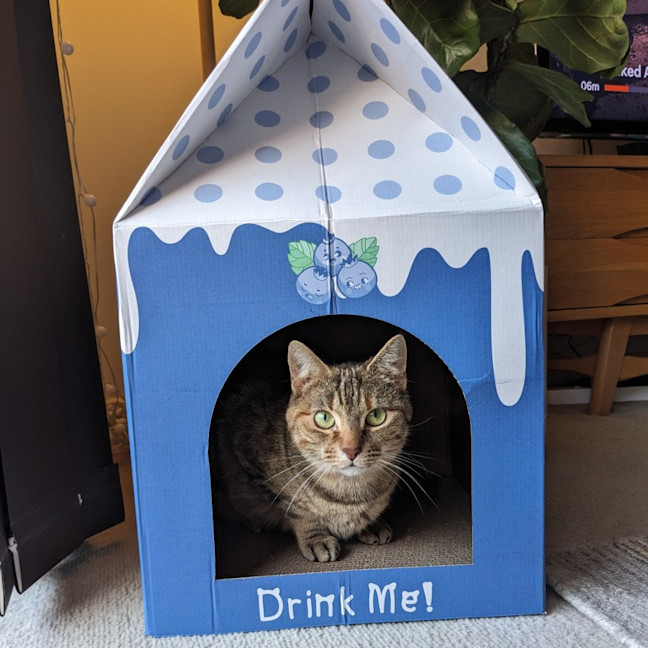 Photo of Elvina   Located In Coburg