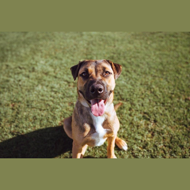 Photo of Star Kumara