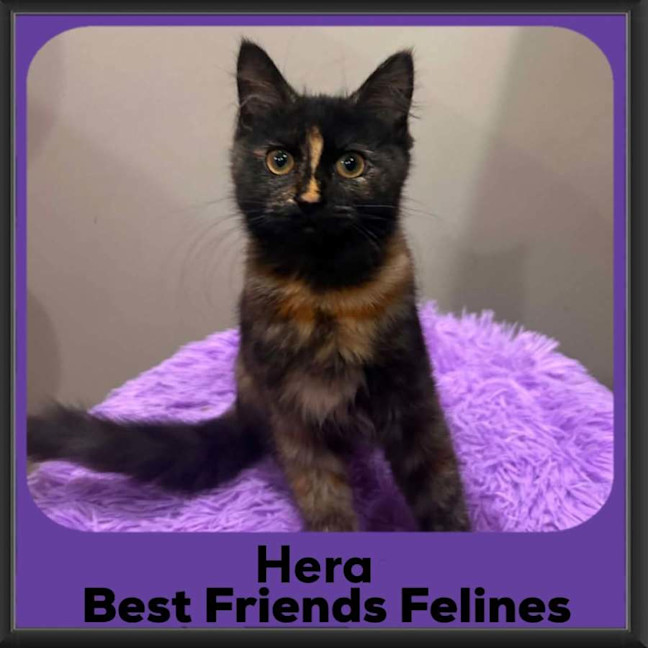 Photo of Hera