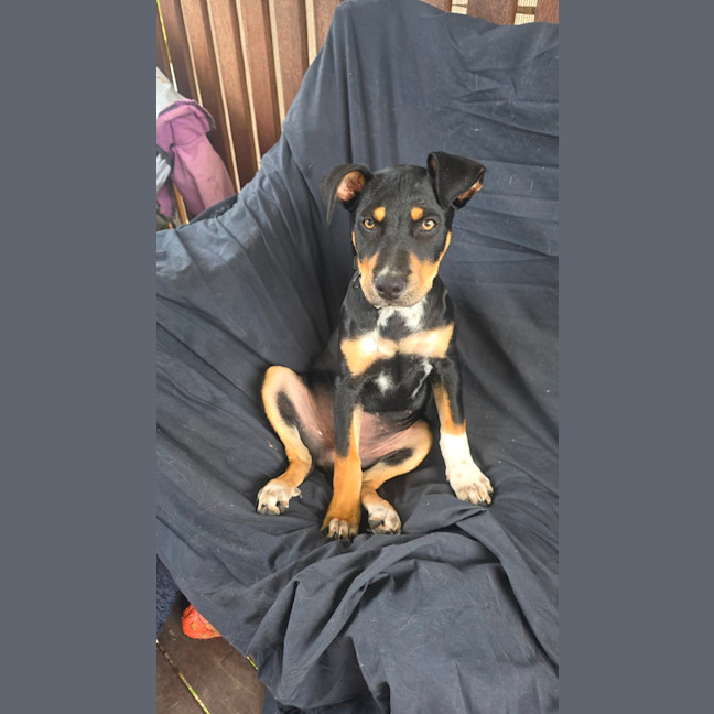 Photo of Jessie