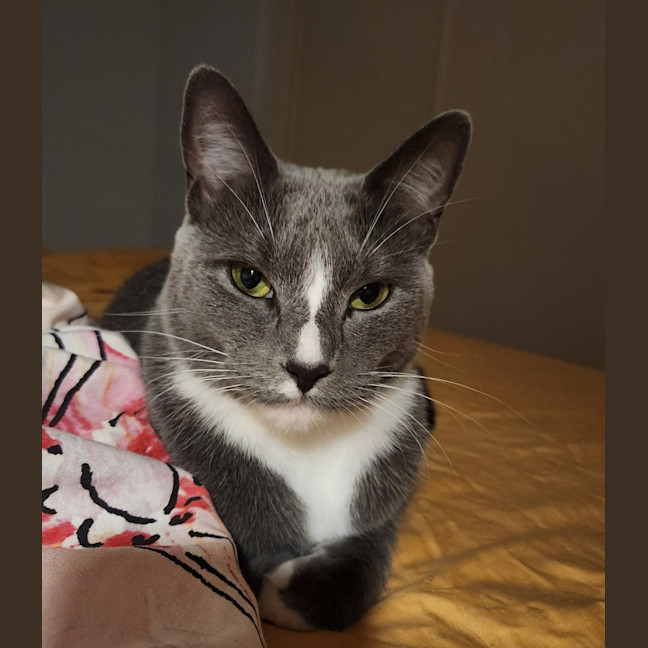 Photo of Still Water 