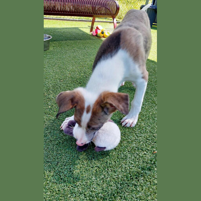 Photo of Billy