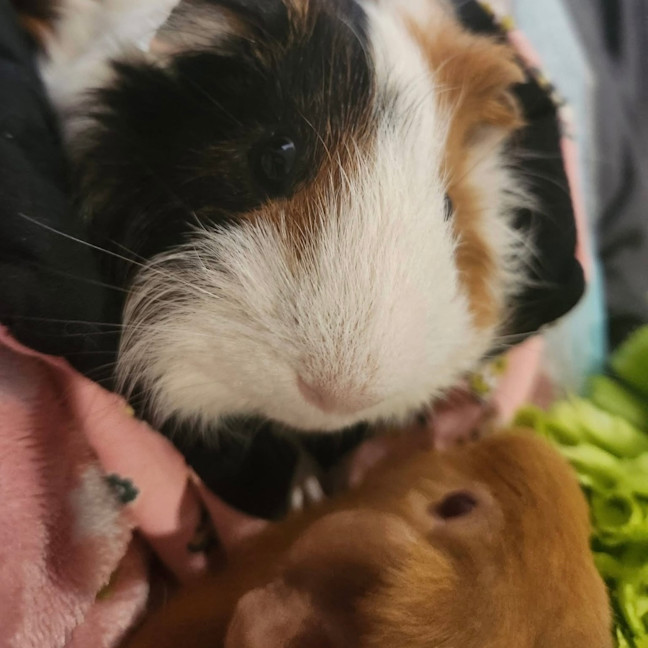Photo of Zach & Bubbles