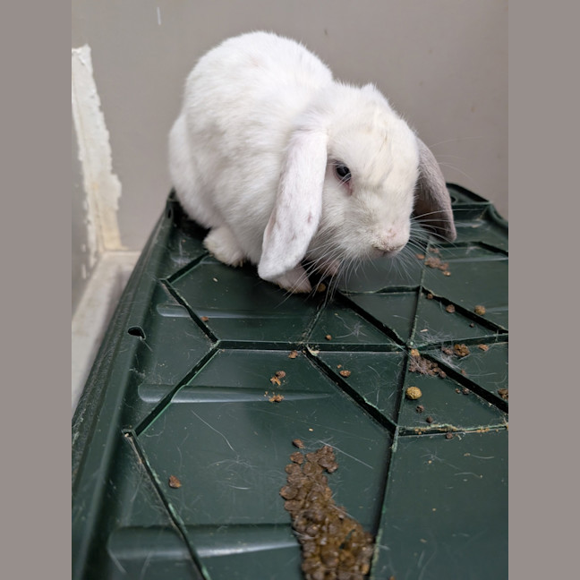 Photo of Emmy