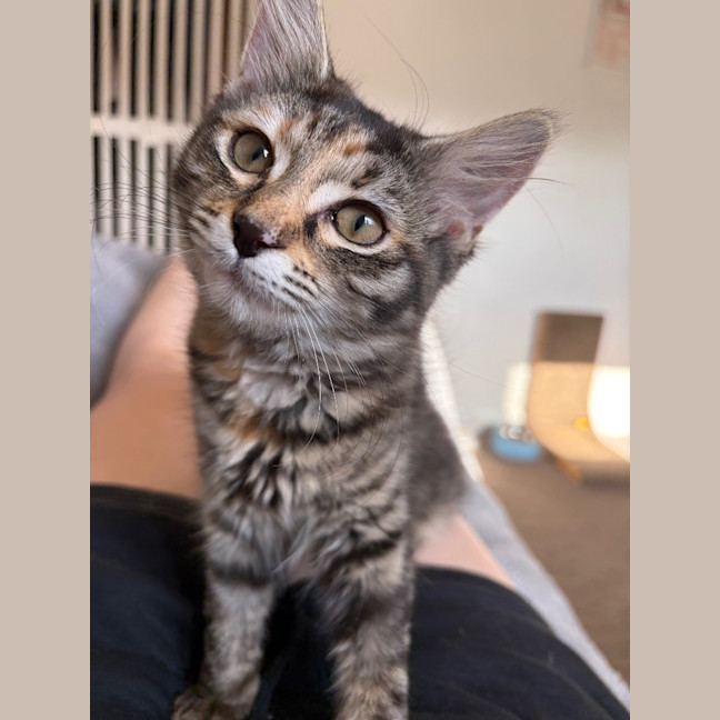 Photo of Francesca Moo