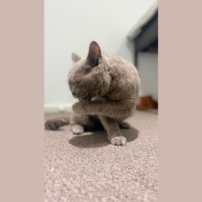 Photo of Crystal