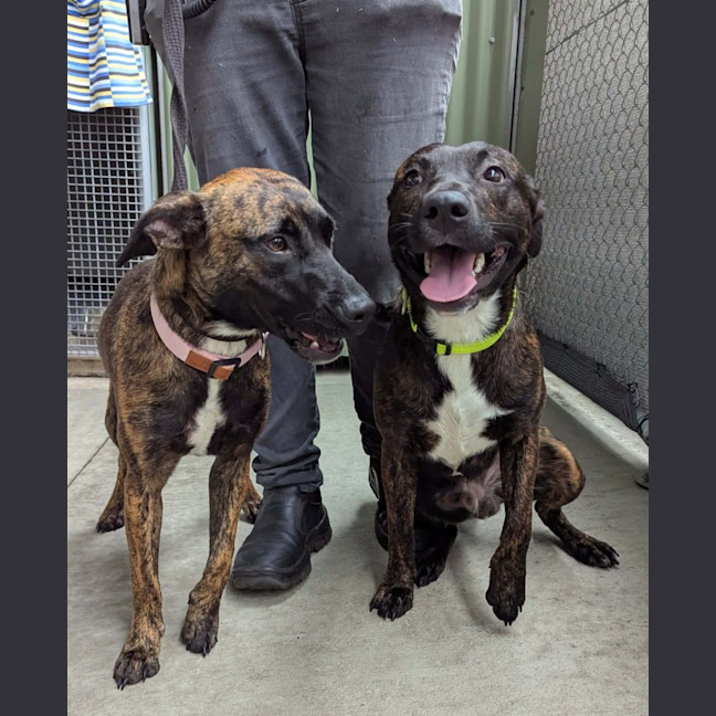 Photo of Winter & Baxter