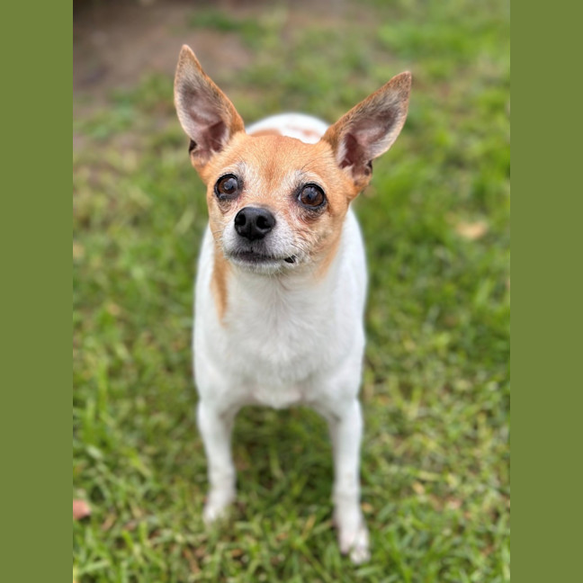 Photo of Milly