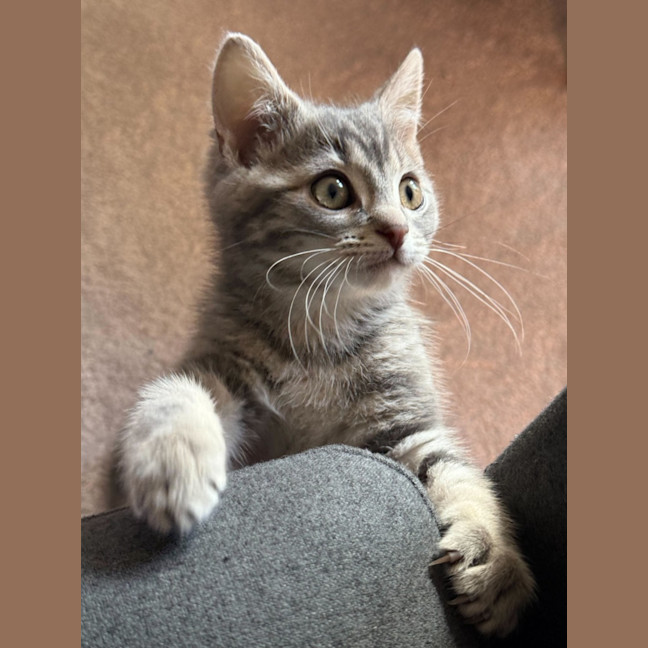 Photo of Umami And Dashi