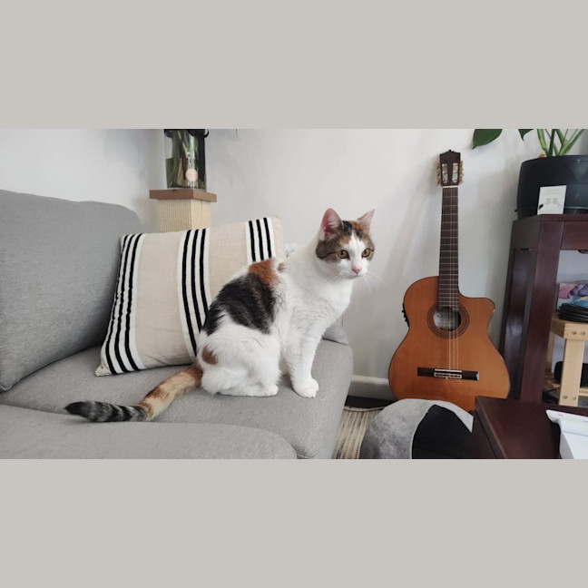 Photo of Skeeta 