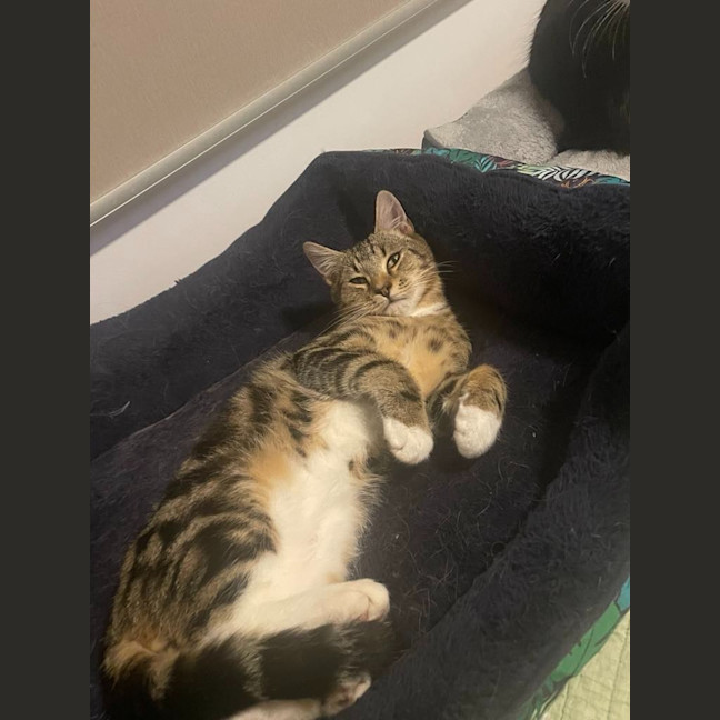 Photo of Cash