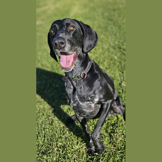 Photo of Addie Drummond