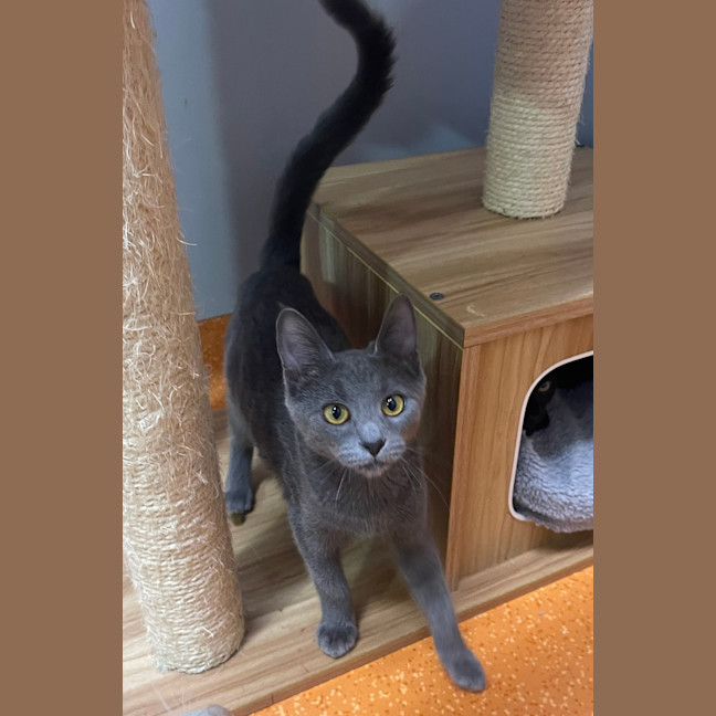 Photo of Hermes