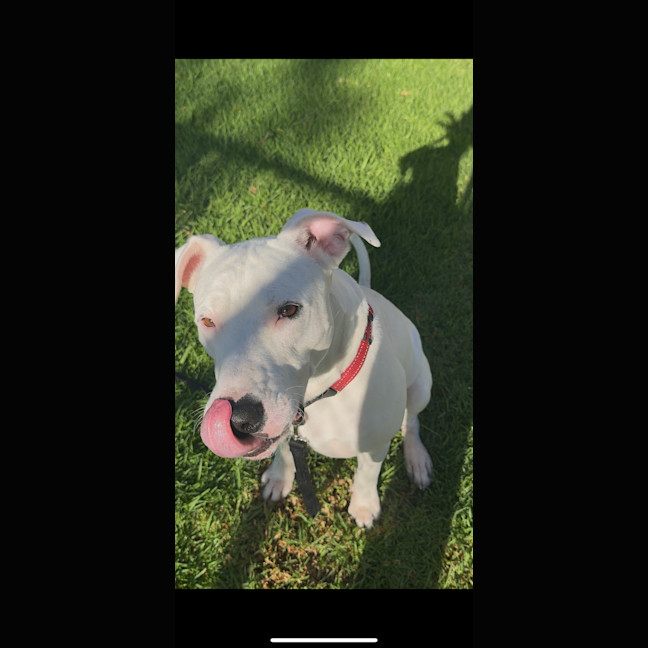 Photo of Wally