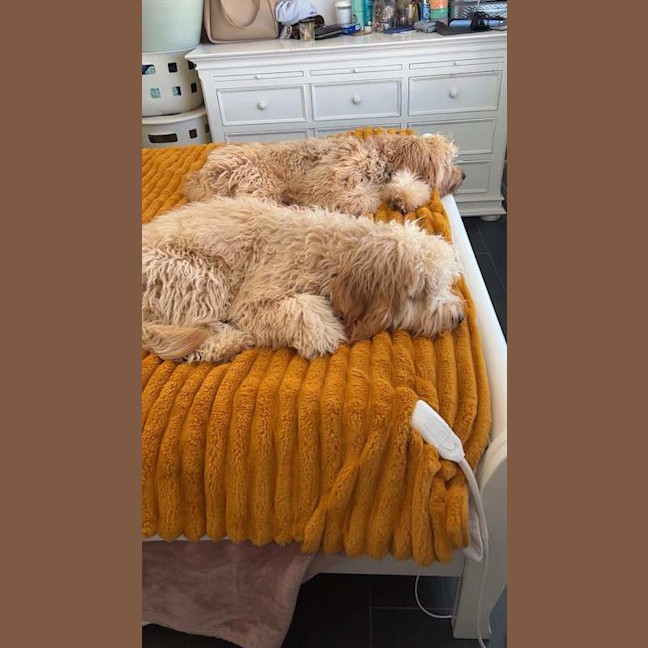 Photo of Olaf