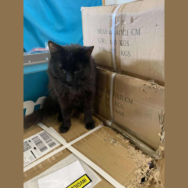 Photo of Nibbles & Moth