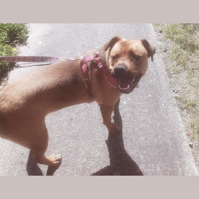 Photo of Skye Peggotty