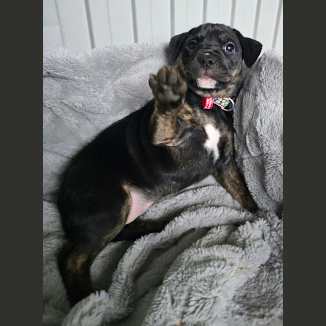 Photo of Xalia