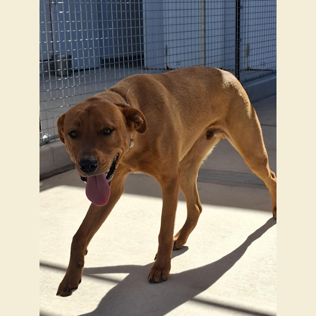 Photo of Zeus 68/2026