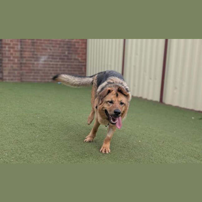 Photo of Roxy 