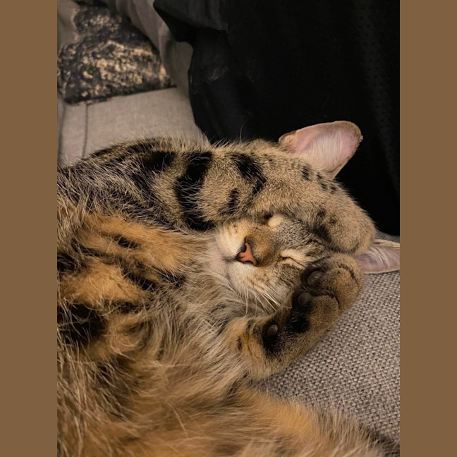Photo of Lizzie 