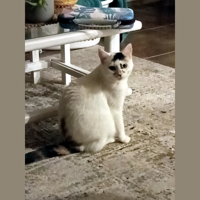 Photo of Emma Sta012305