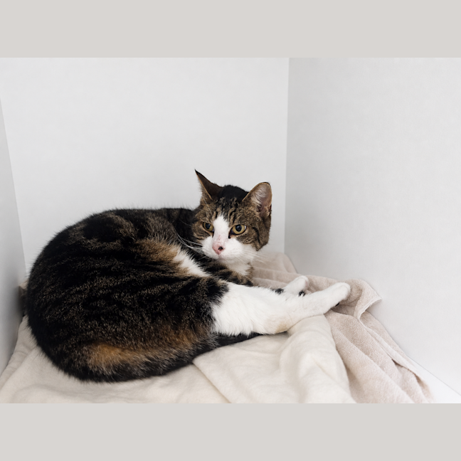 Photo of Evie
