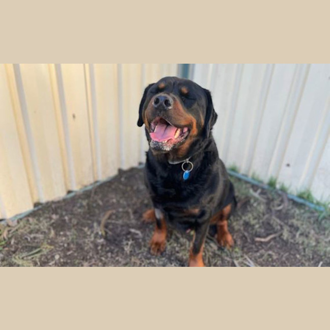 Photo of Wobbly Walter