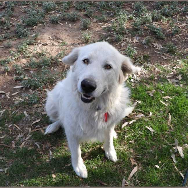 Photo of Lucy