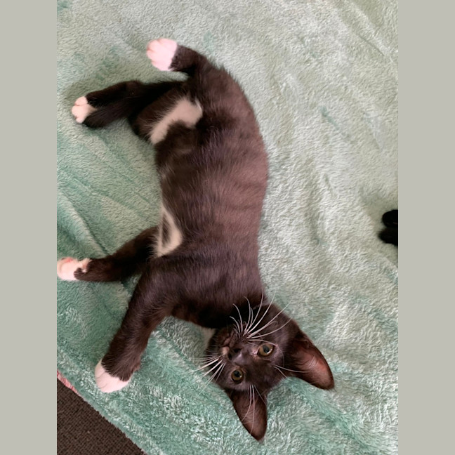 Photo of Zuko