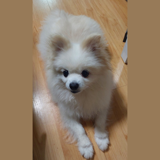 Photo of Princess