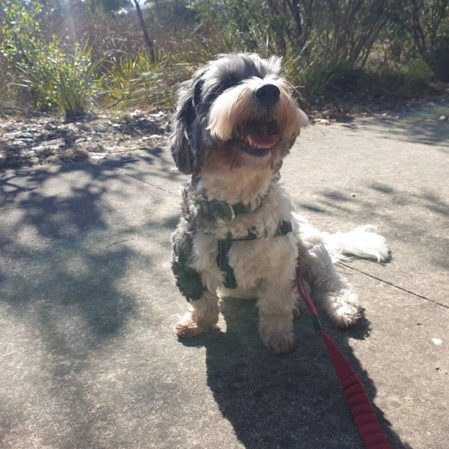 Photo of Mack Jablonski