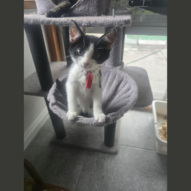 Photo of Jackie Chan