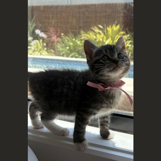 Photo of Minnie