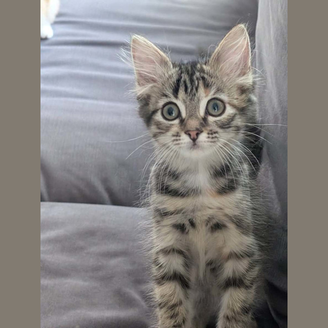 Photo of Moonbeam