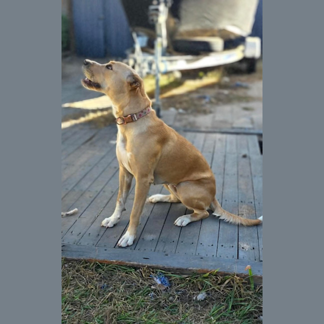 Photo of Cali